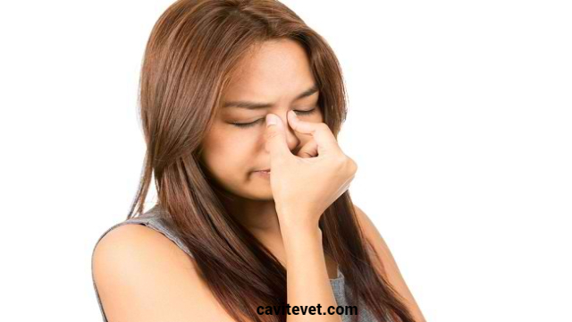 Tips Meredakan Hidung Tersumbat